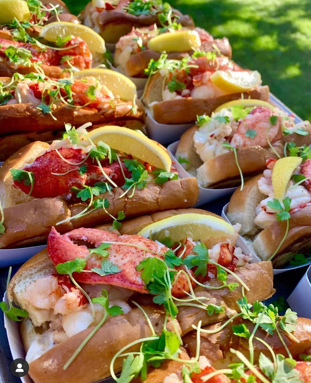 Lobster Roll