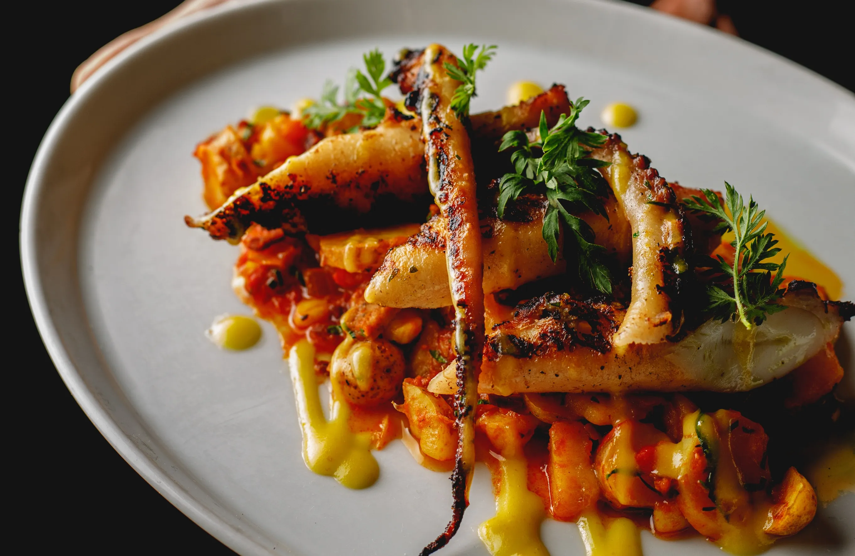 Grilled Octopus