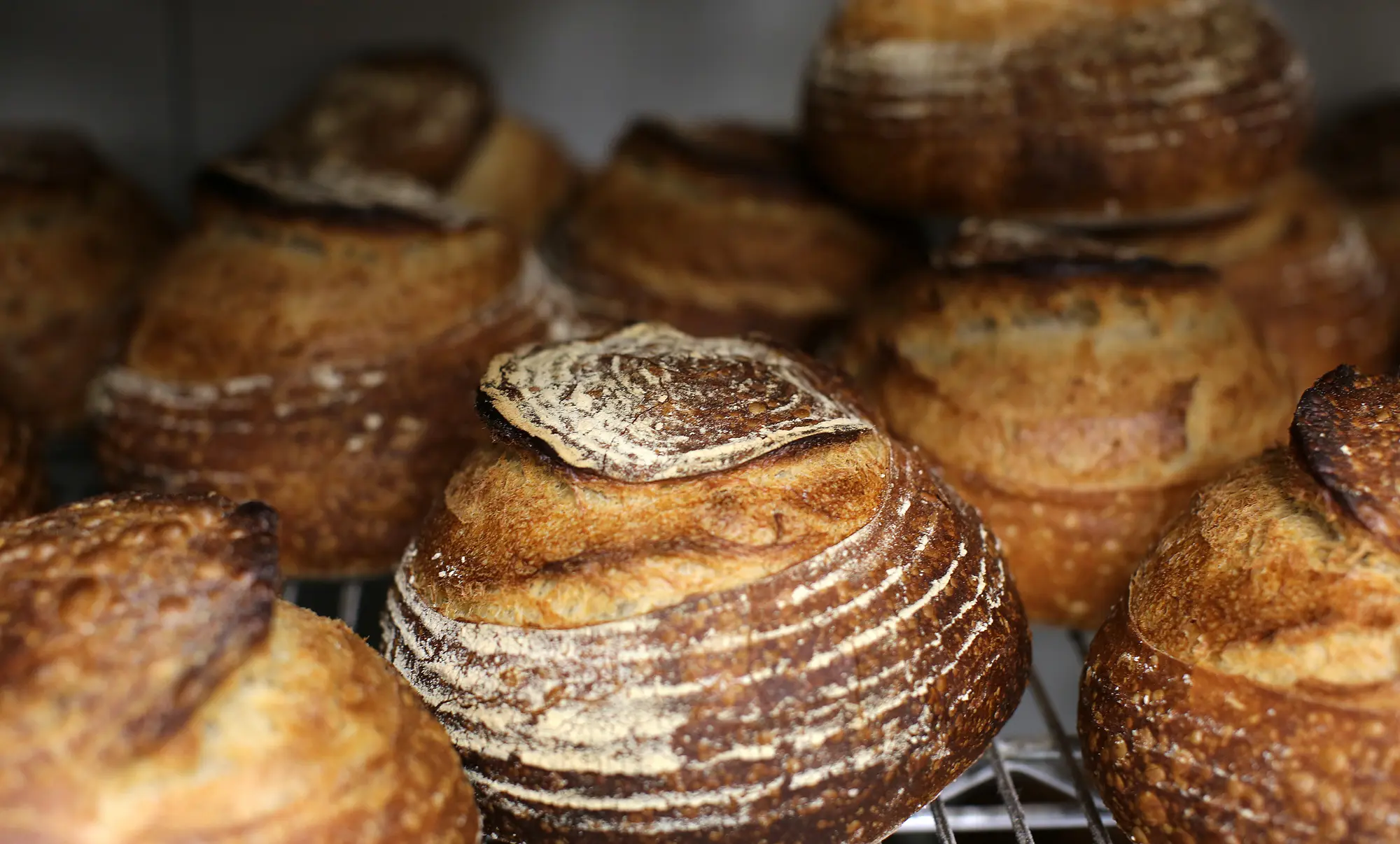The Sono Baking Company & Cafe